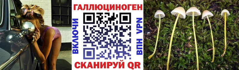 купить  цена  Верхняя Салда  Галлюциногенные грибы прущие грибы 